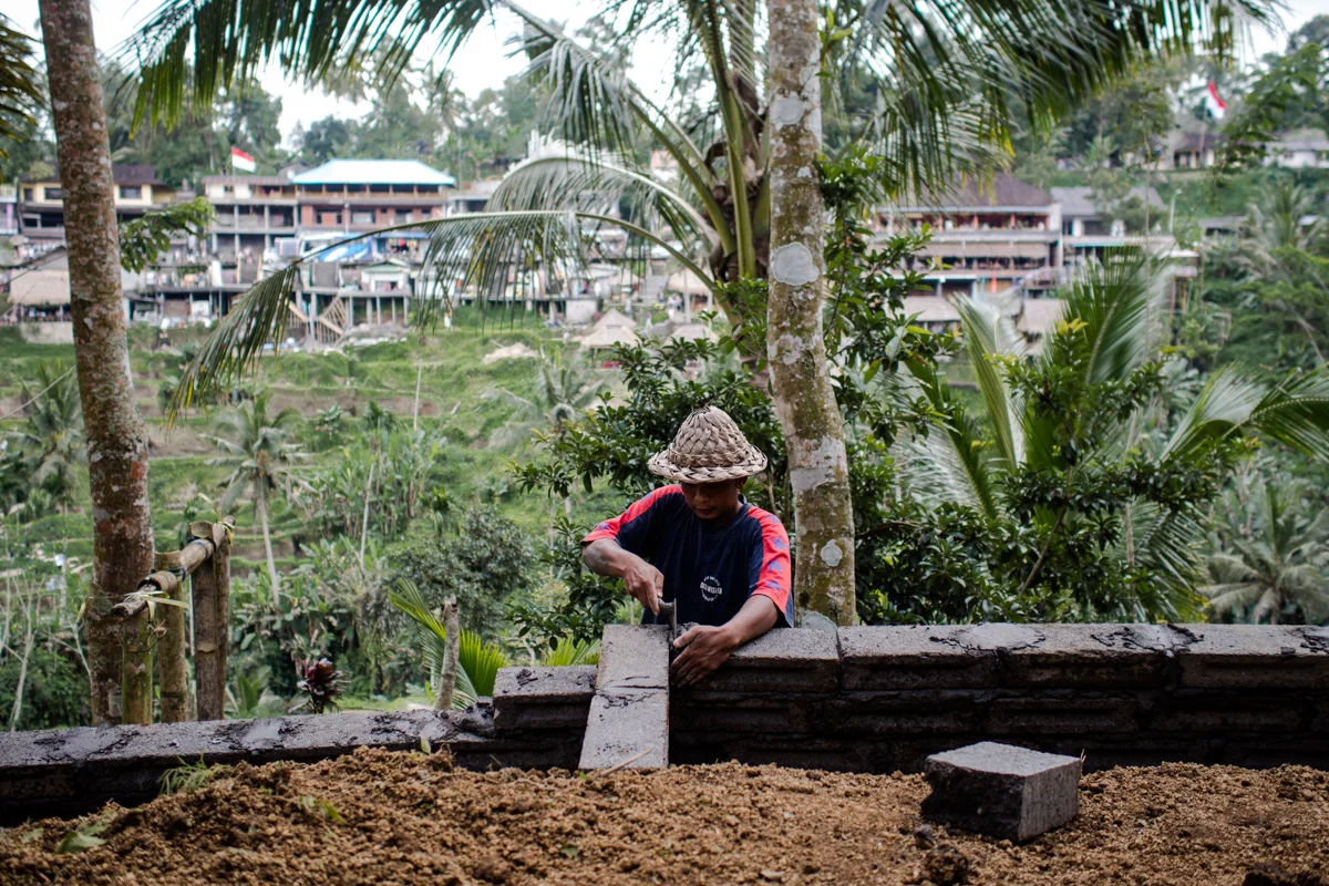 Wayan Arnawa builds up a small stall in the middle of ricefield for the tourist to take a rest.
