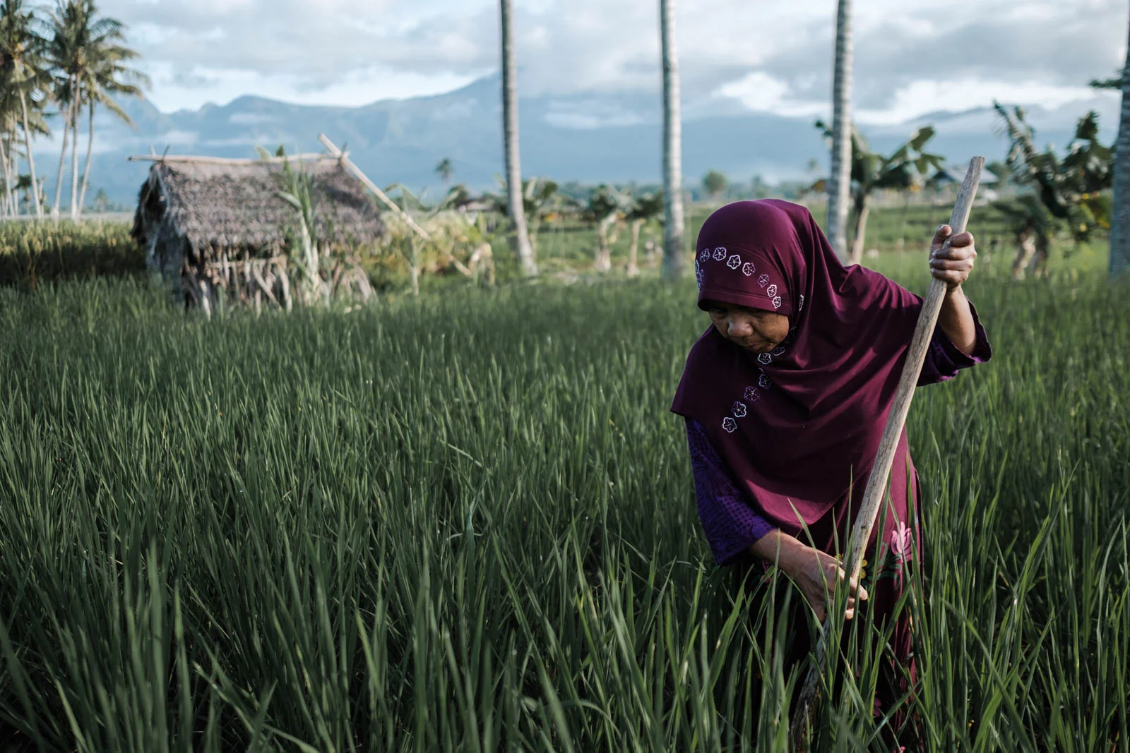 20190403 Anggara Mahendra - Oxfam Women Spotlight -24.jpg