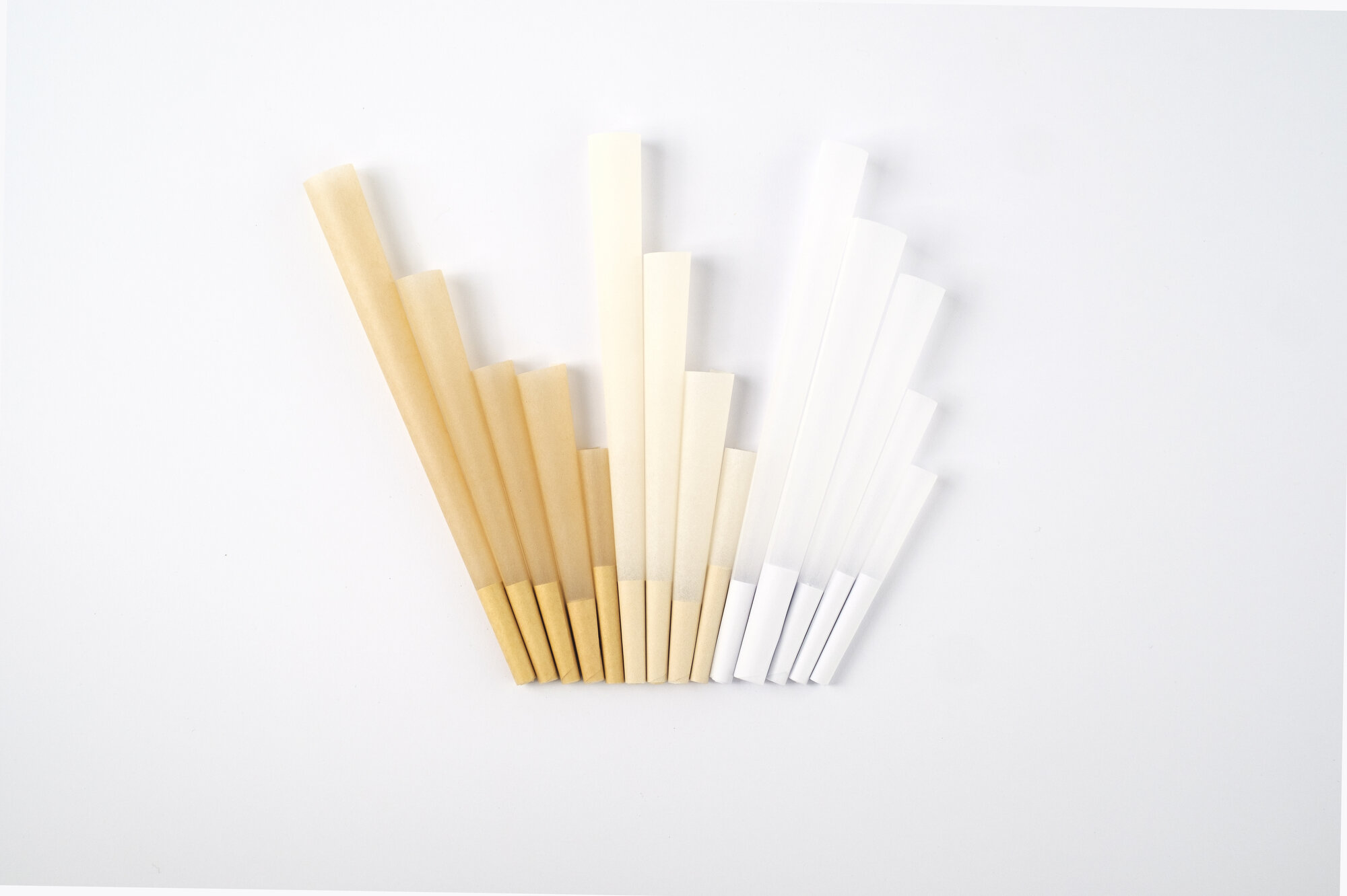 2020 mitra prodin38.JPG