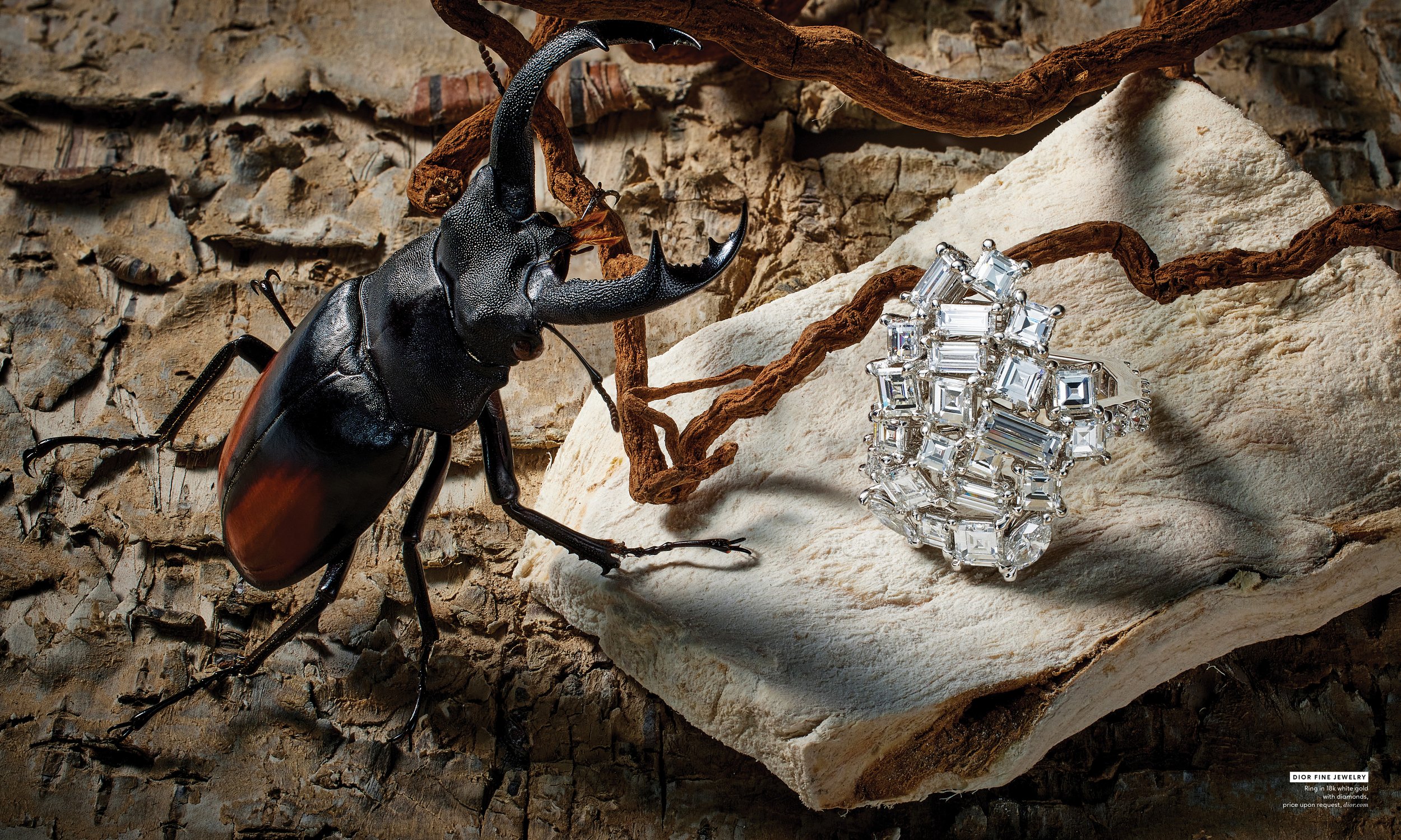 DuJour_Winter2024_HIGH-JEWELRY-4.jpg
