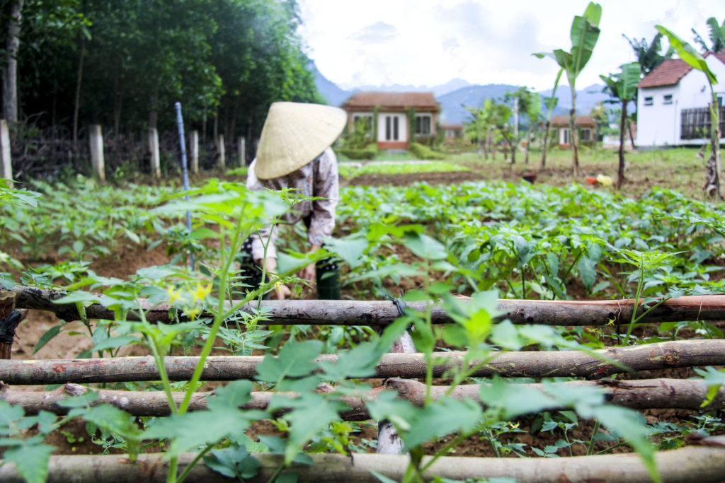 Chay-Lap-Farmstay-1024x683.jpg