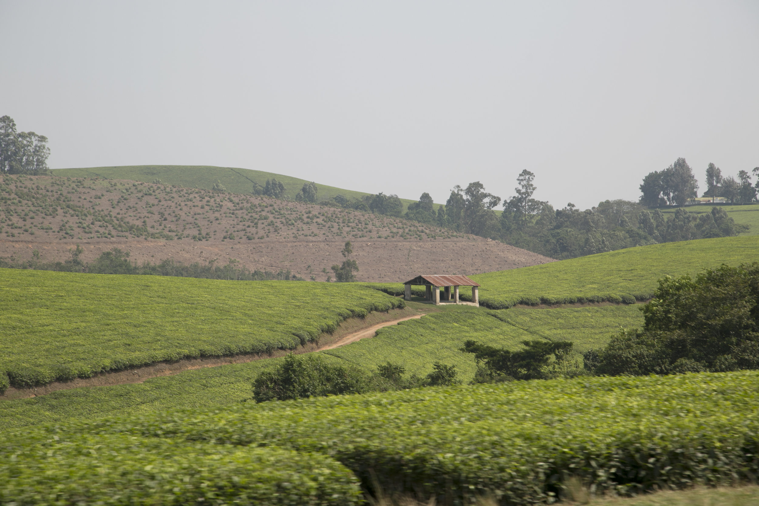4D3A8055.jpg