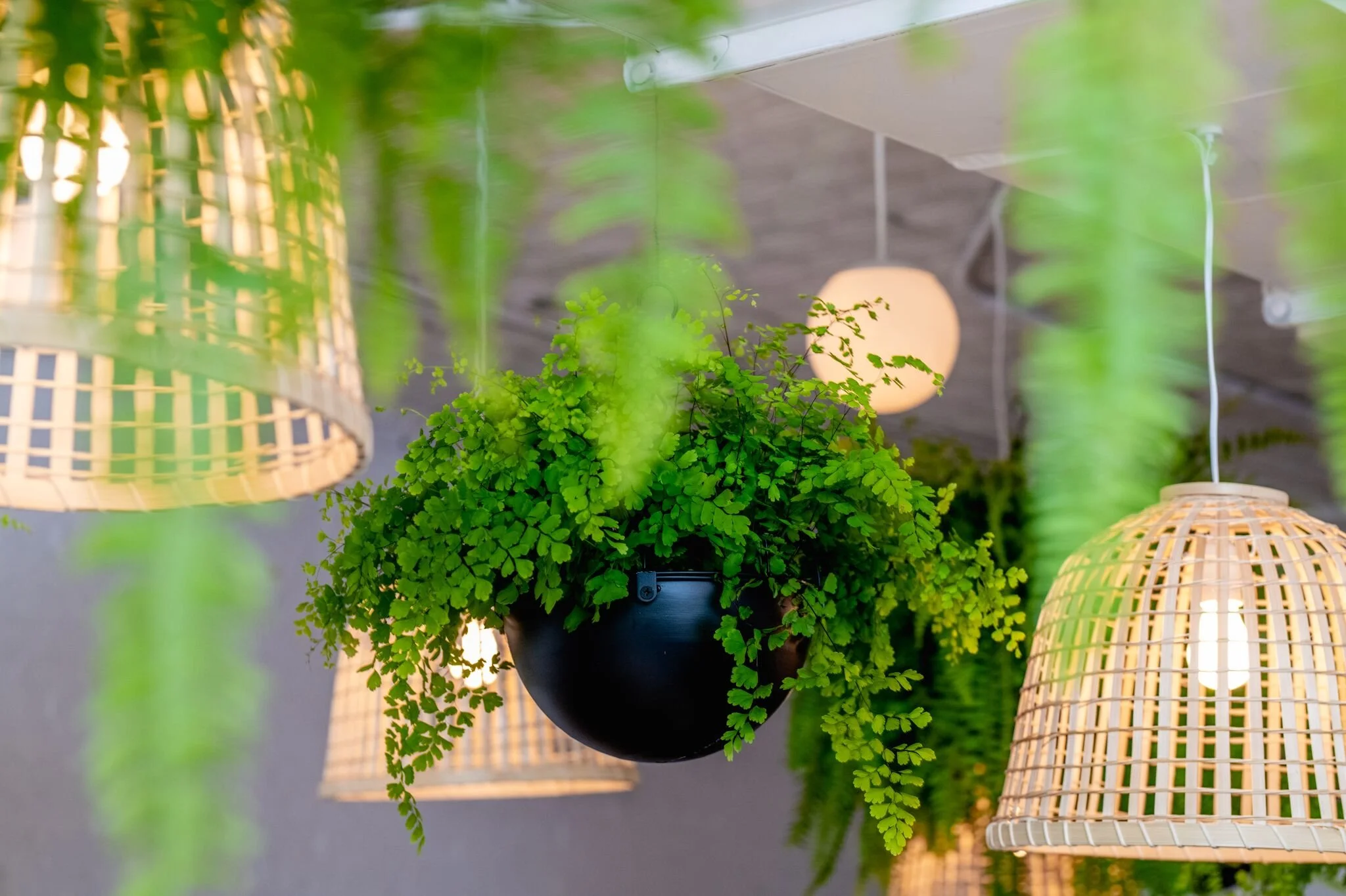 Mixed Greens Event Design