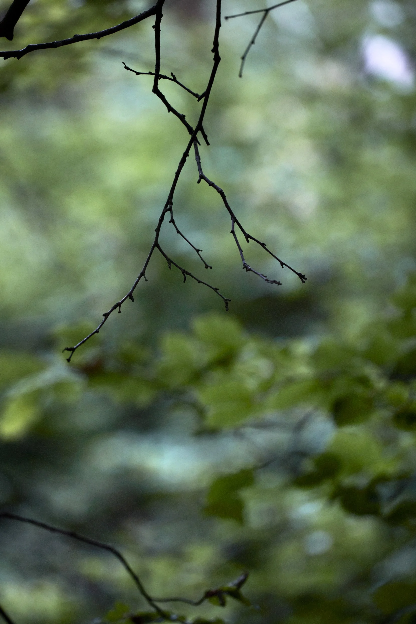 Luke-Brown-The-Lost-Way-09.jpg