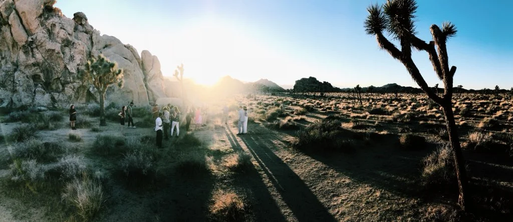 Celebrating B &amp; C in Joshua Tree