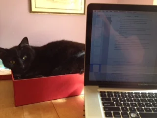 Writer's block and ADHD