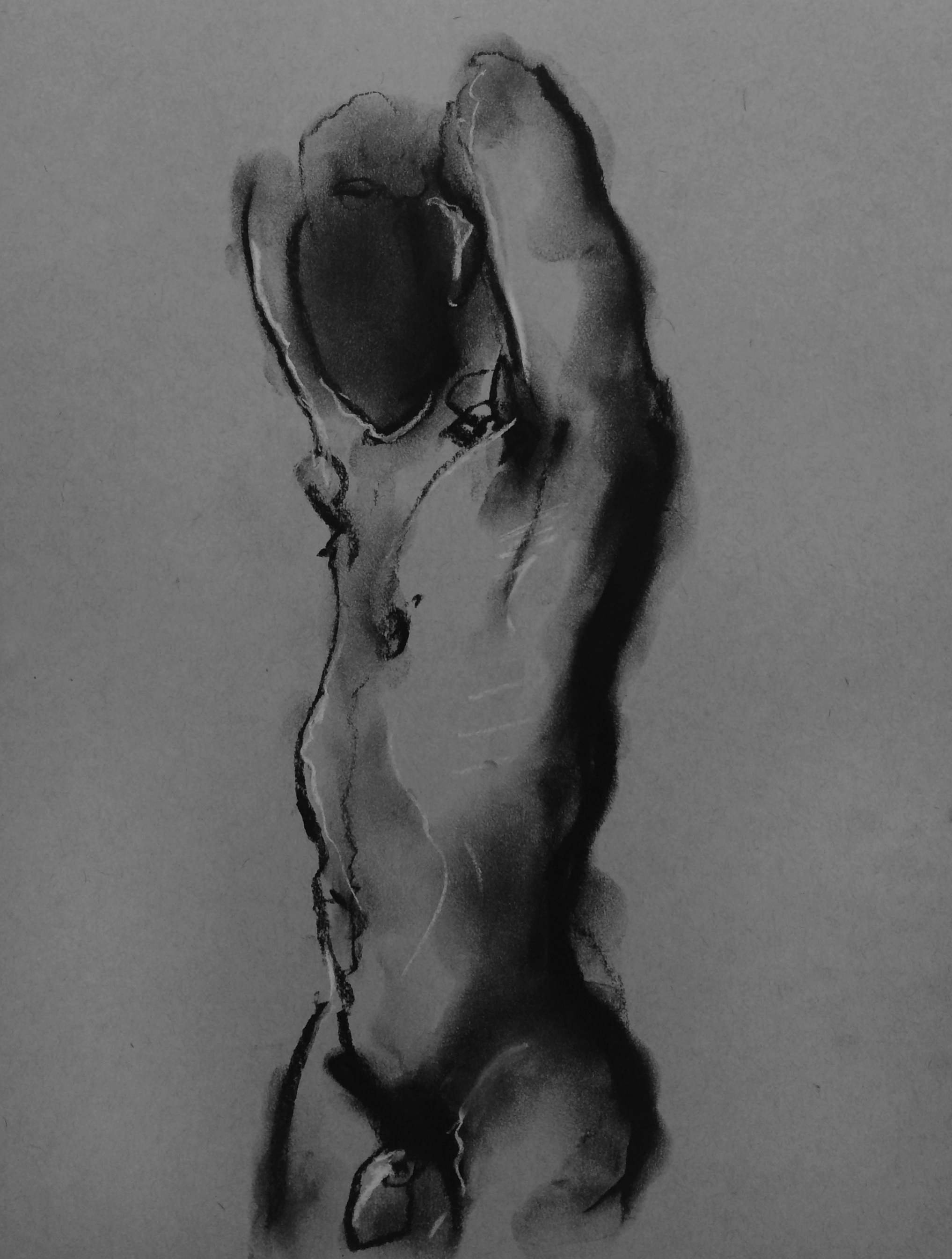 Pitt charcoal and white charcoal pencil.