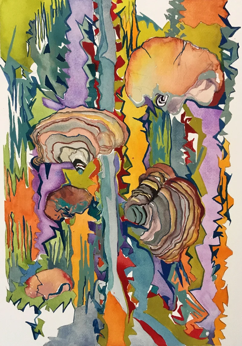 Fungi