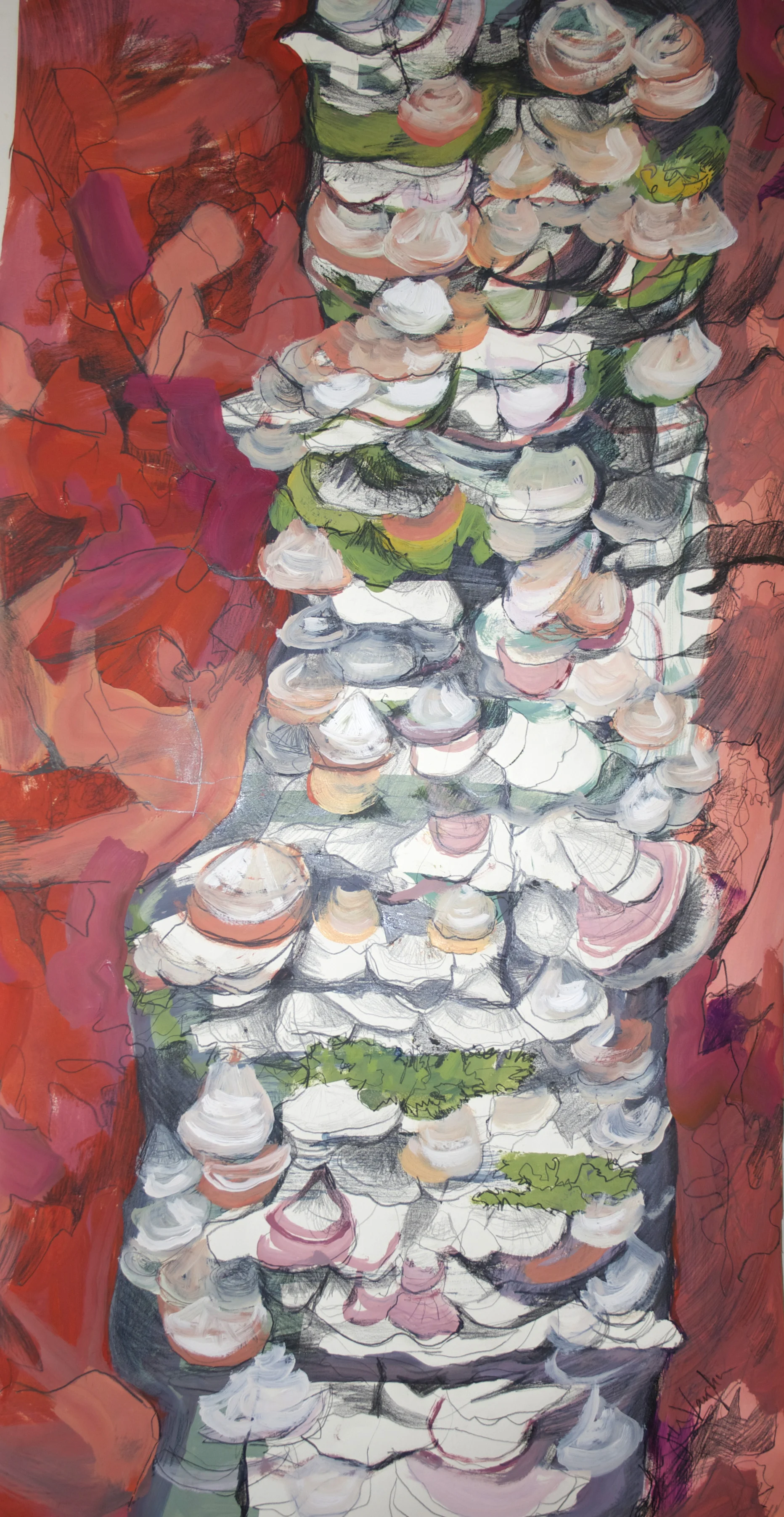 Seashells Not by the Seashore