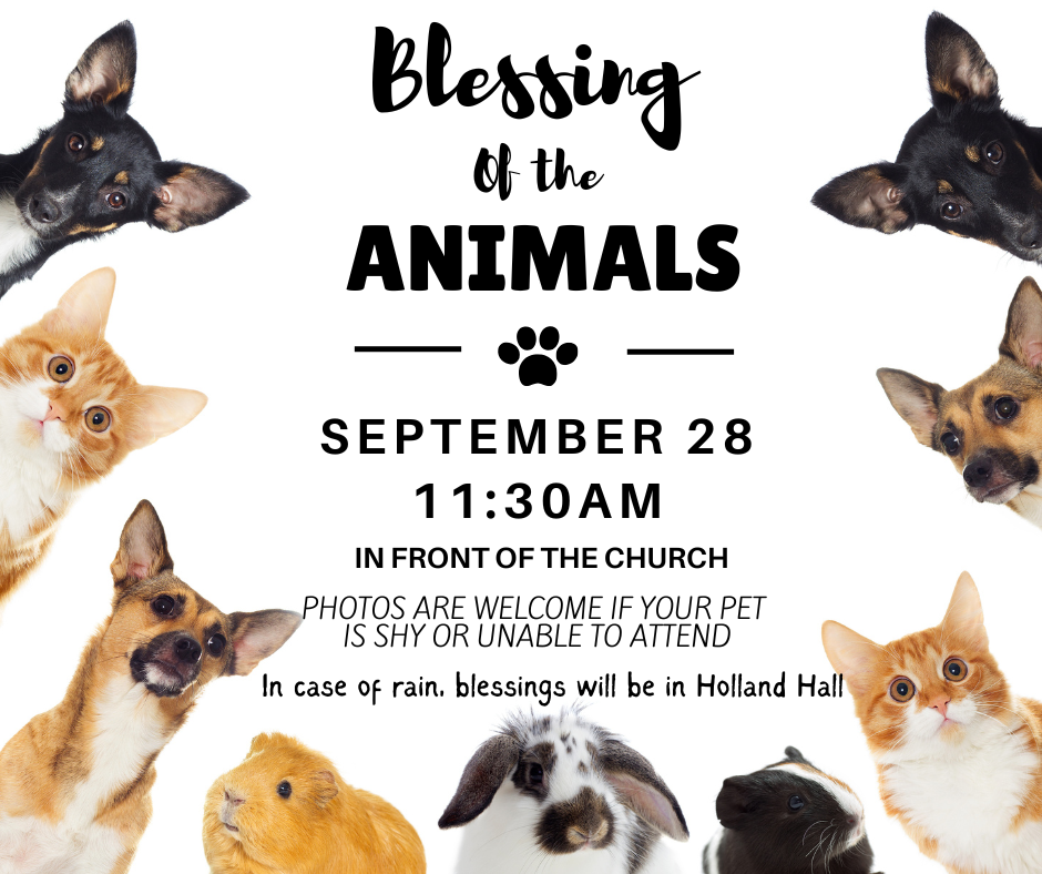 Blessing of the animals 2025 (2).png