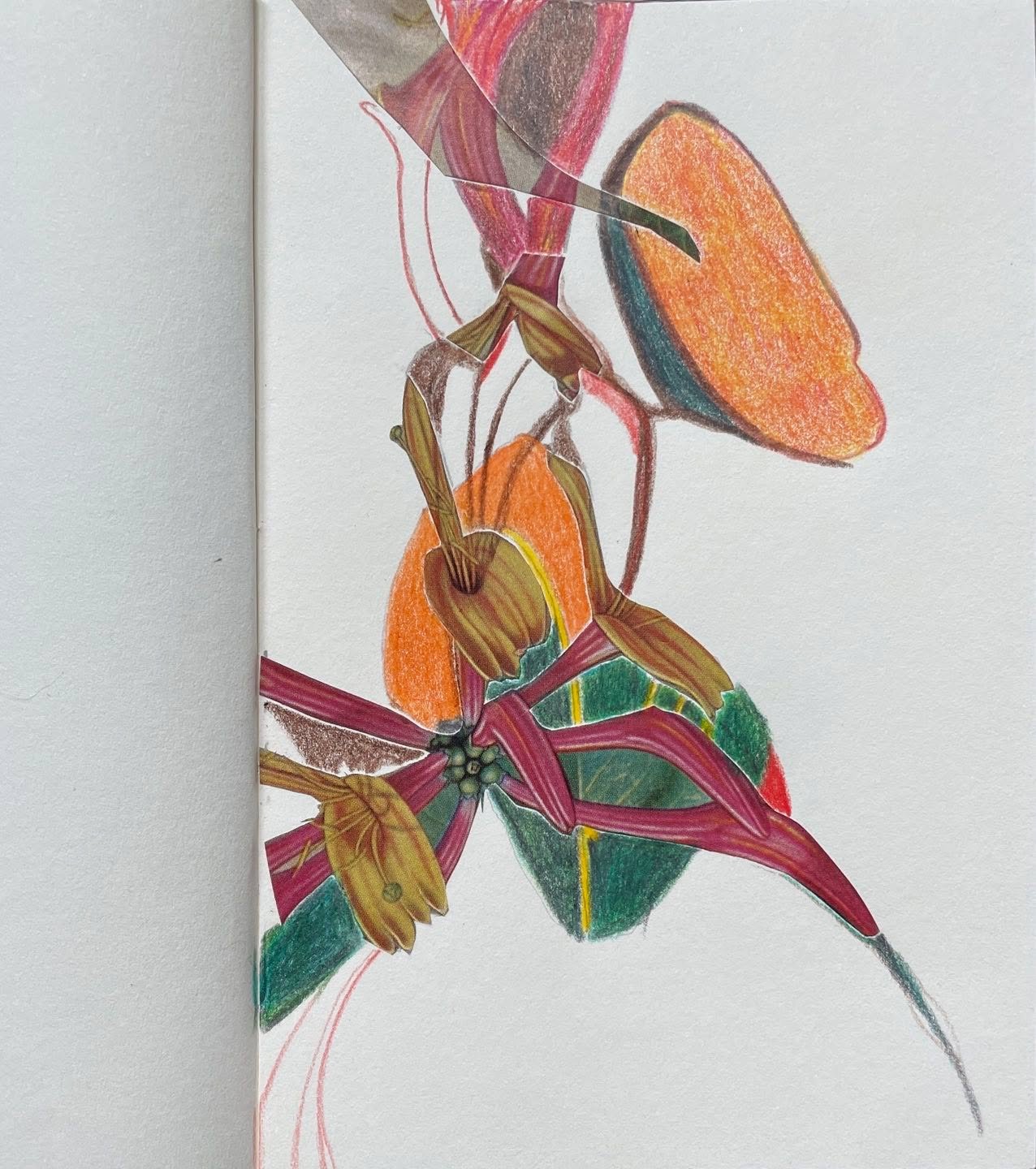 Another page.

#abstract#floral#collage#pencilcrayon