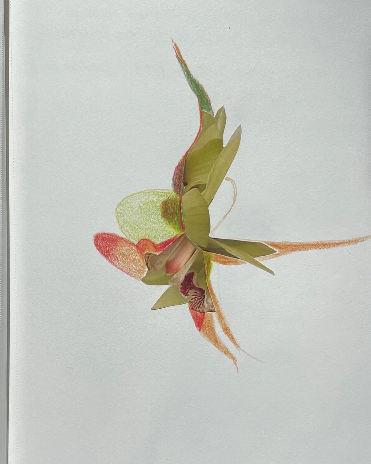 Sketch book page.

#flight#collage#drawings