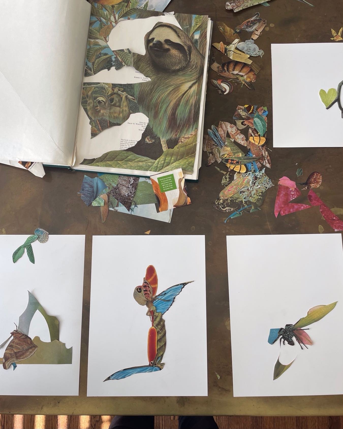 Thinking on paper today&hellip;

#paper#collage#studies#nature#abstract