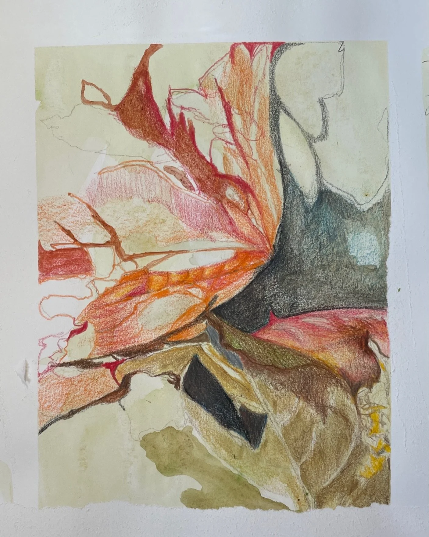 Feeding the practice

#studio#drawing#abstract