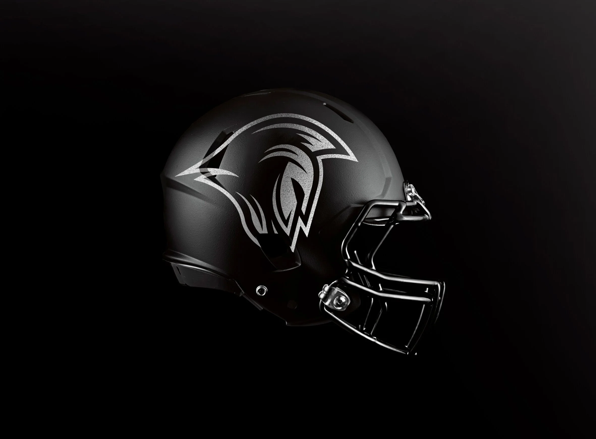 Titans-helmet2.jpg