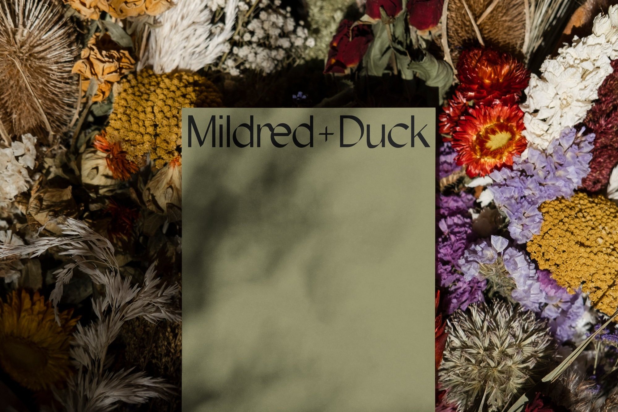 mildred+duck-print.jpg