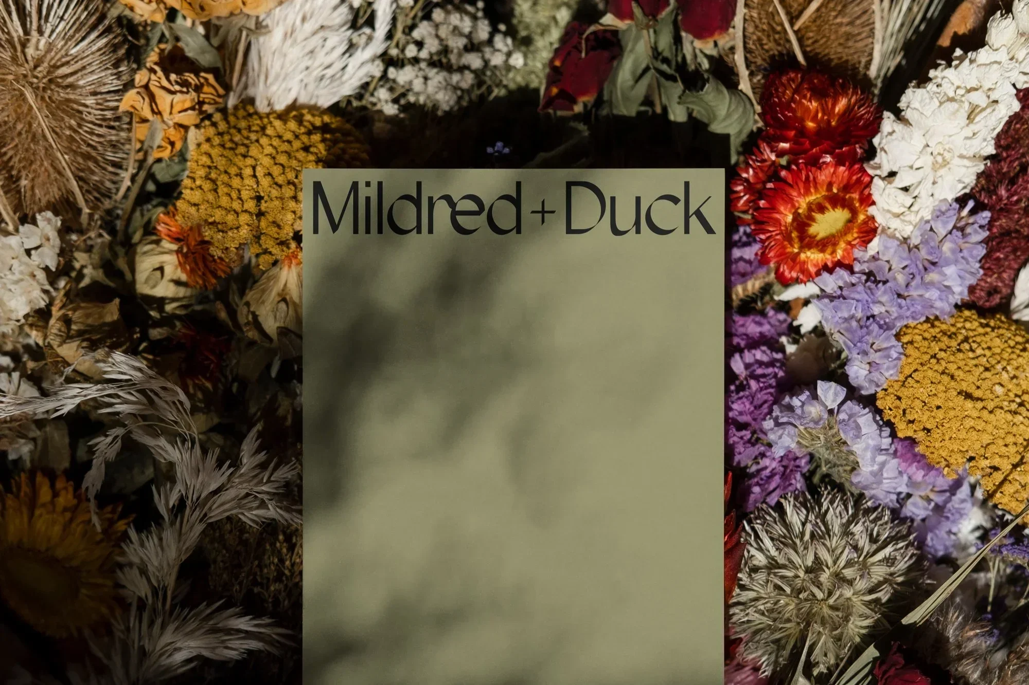 mildred+duck-print.webp