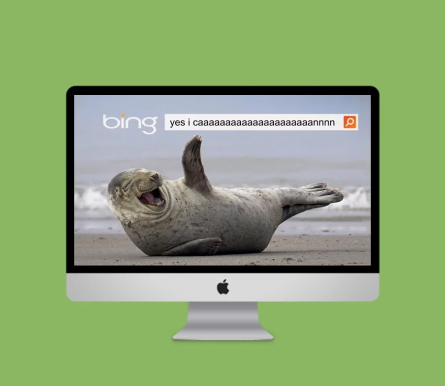 Bing Seal Monitor.jpg