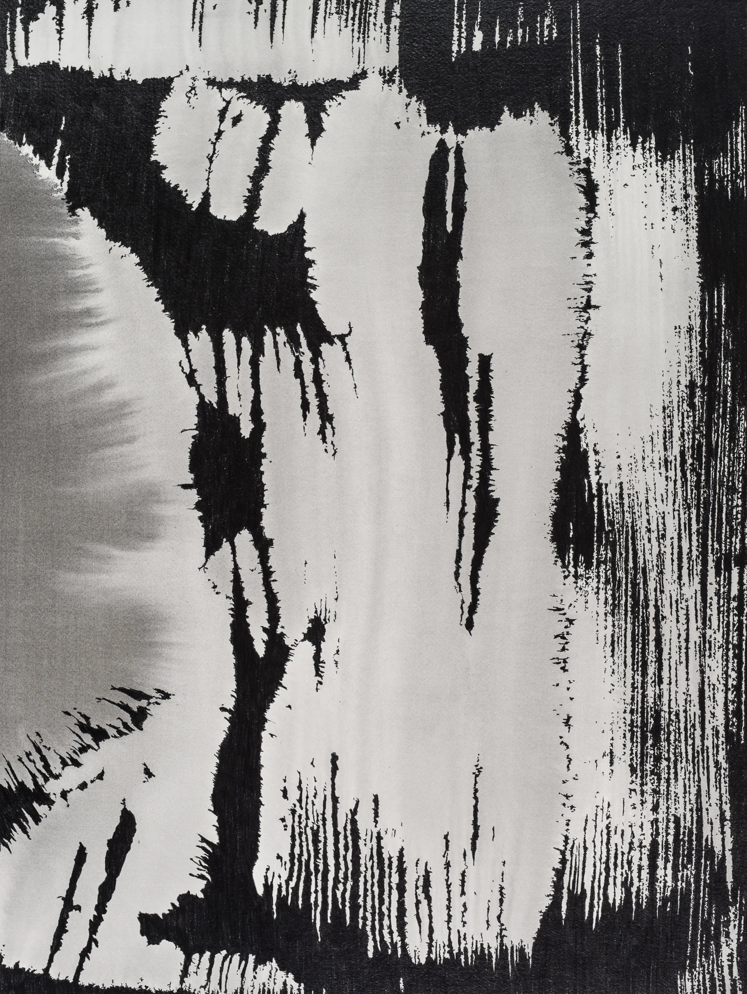 Untitled , 2016 Graphite and Ink on Paper 24h x 18w IN
