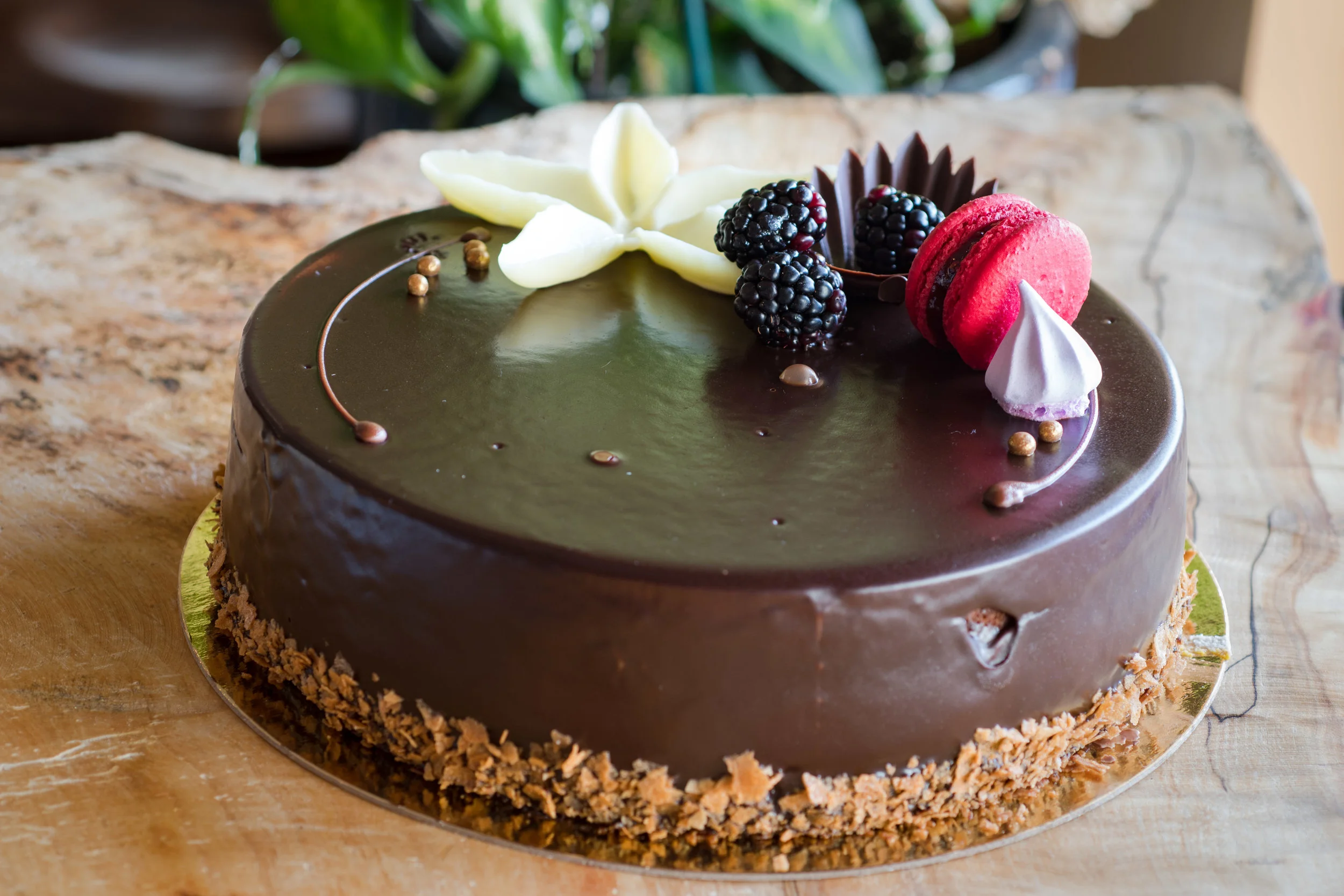 CWH_2816Chocolate raspberry delice website.jpg