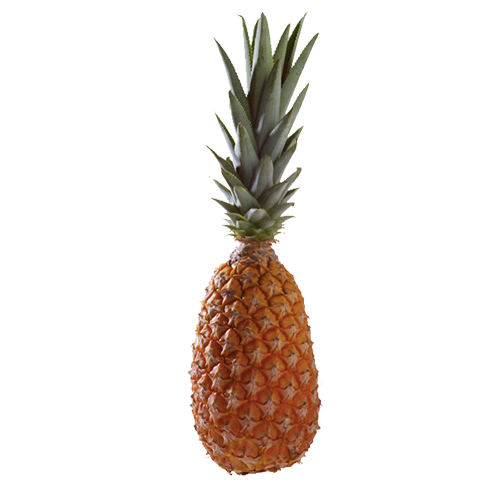 PIÑA Origen: Benin, Reunión, Mauricio