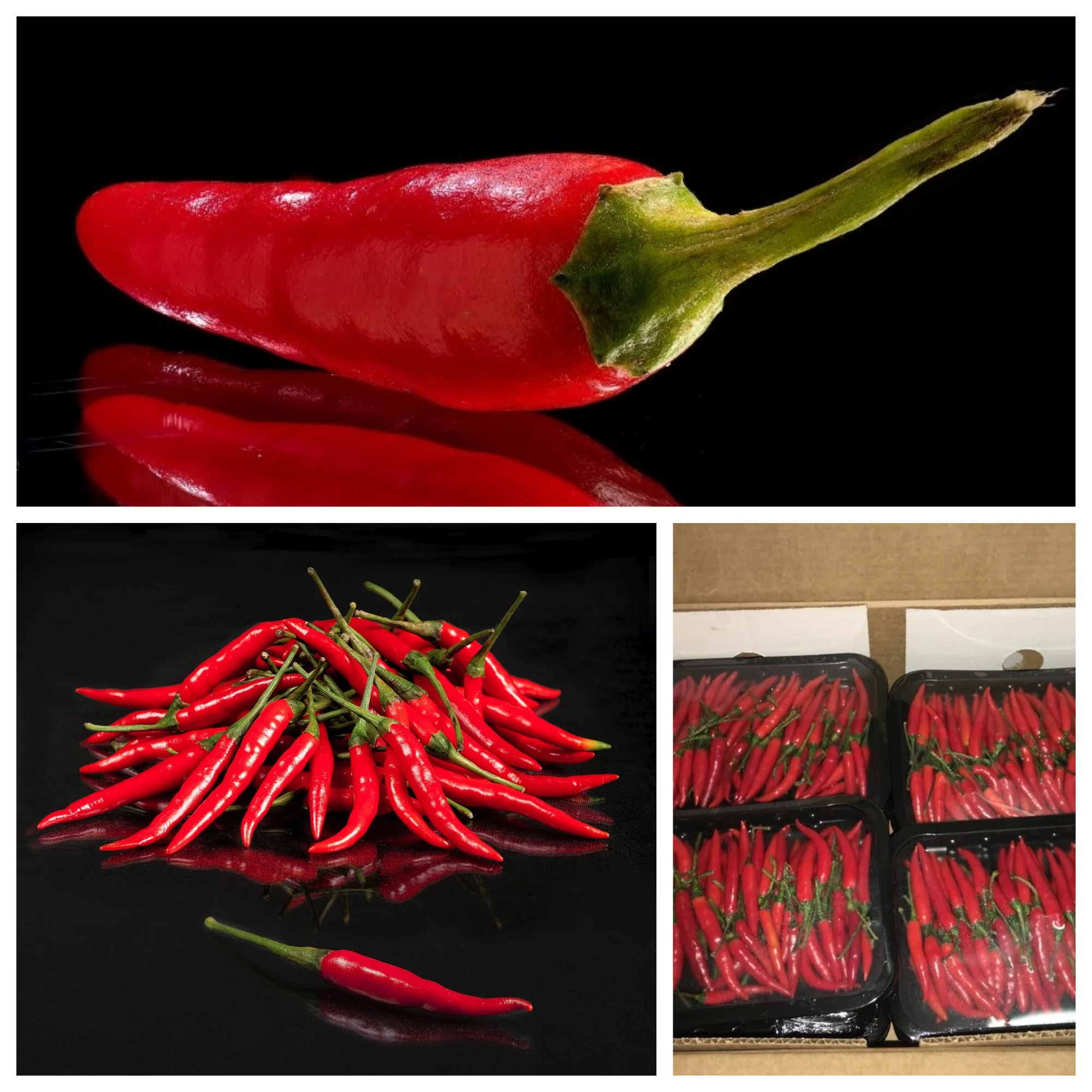 piment Thai red.jpg