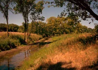 Mellody Farms, Middle Fork, North Branch, Lake Forest, Illinois Courtesy of Friends of the Chicago River