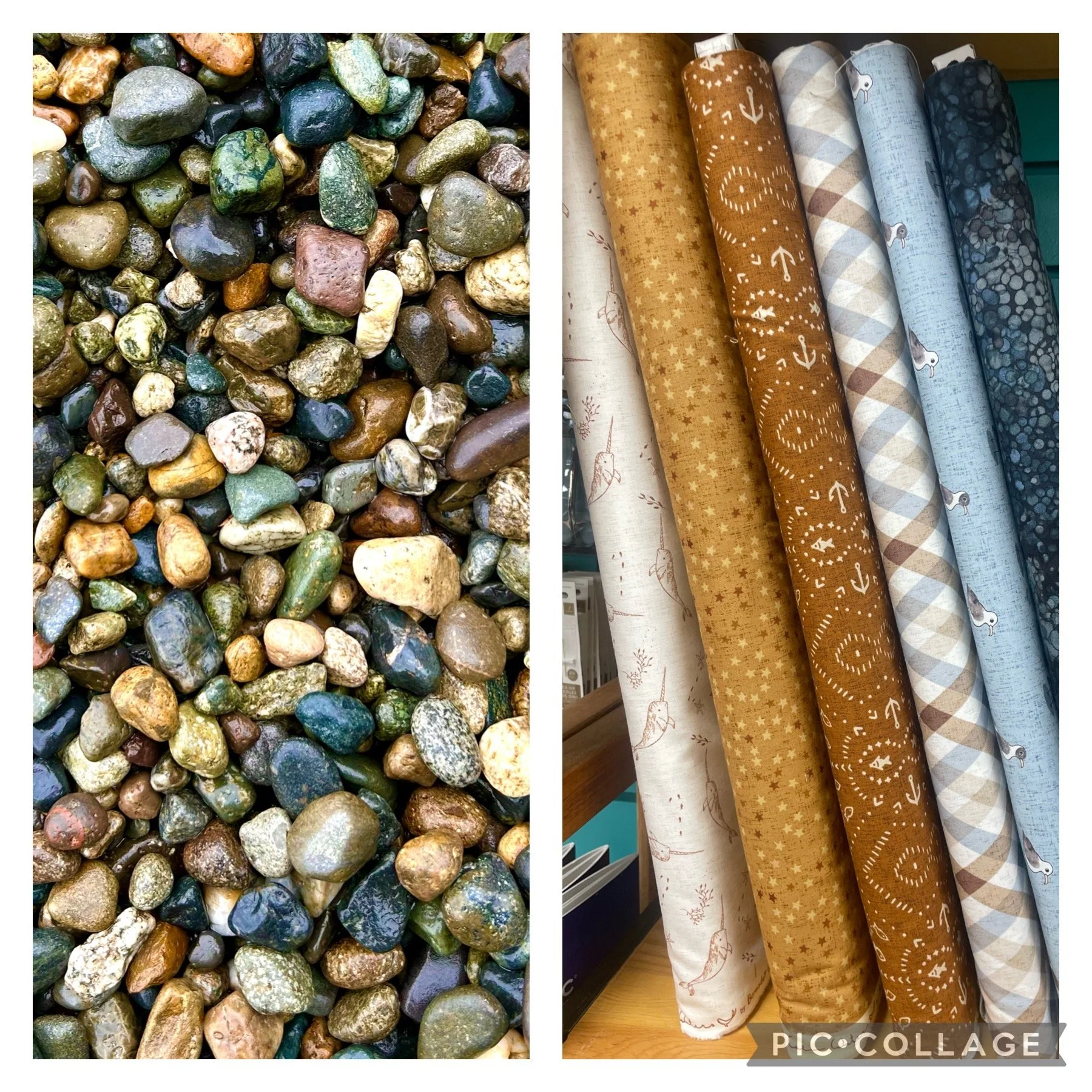 Finding Joy in the Rocks