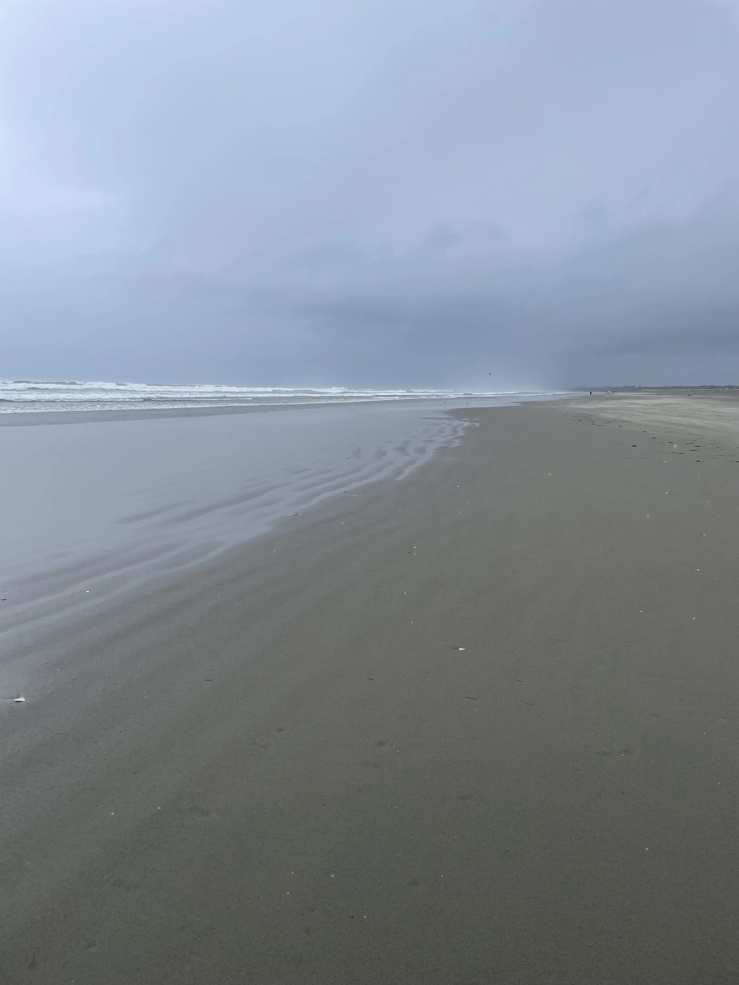 Lost or just a Pilgram? 