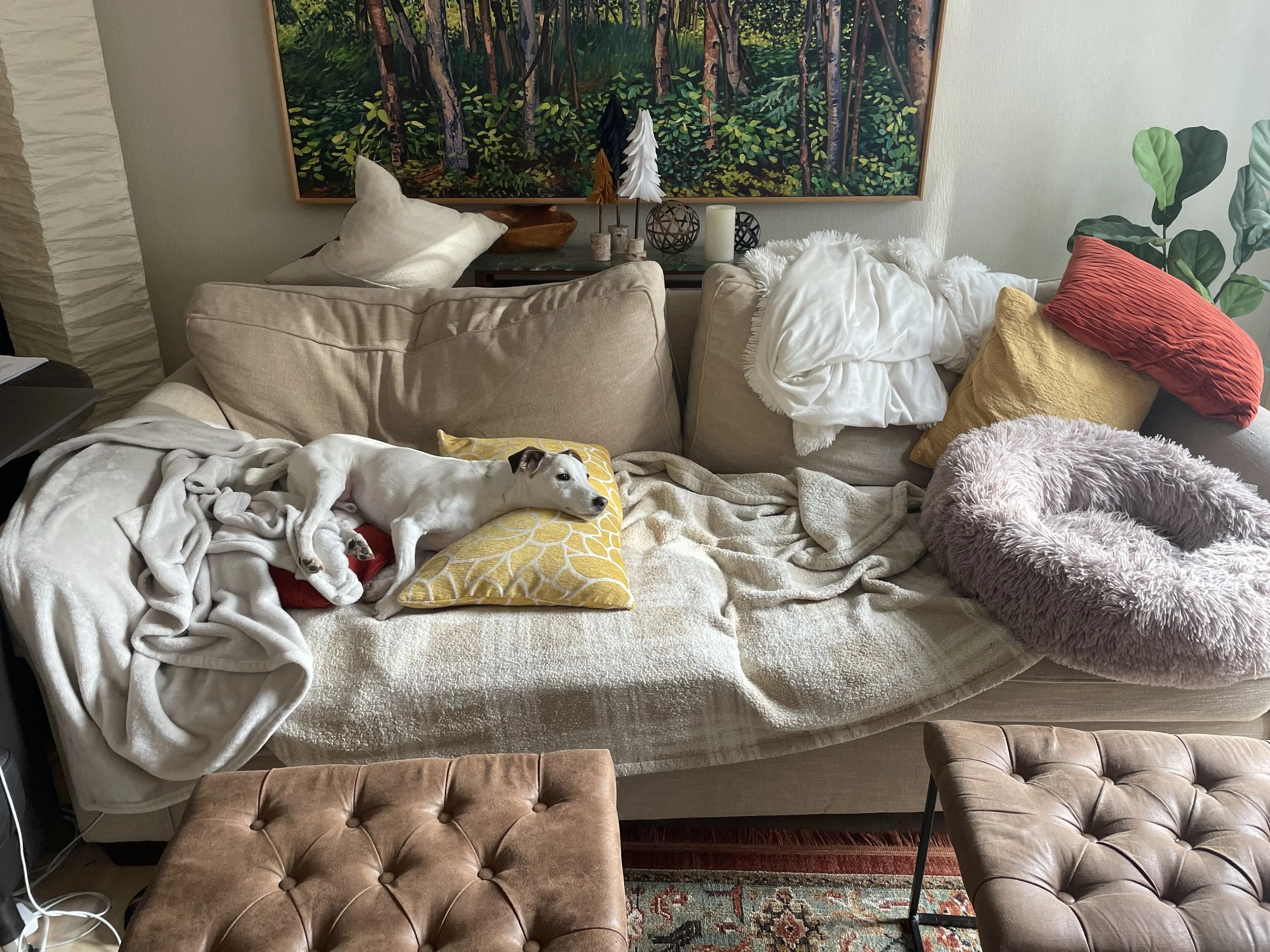 Holiday Hangover: Grief Edition