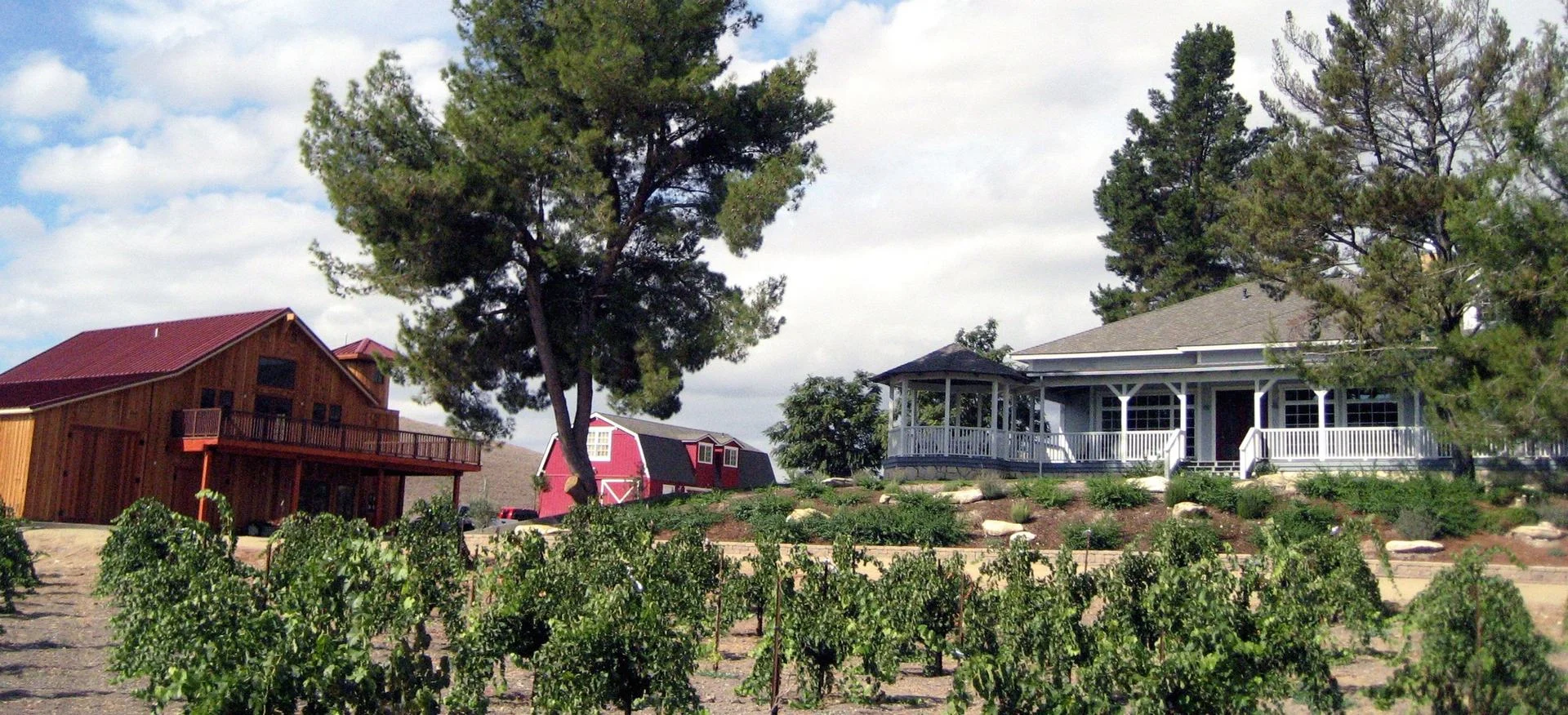 Photo courtesy of Ventaux Vineyards