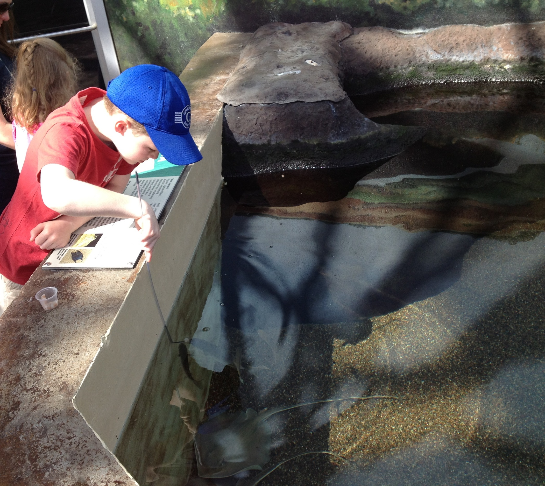 Feeding the rays