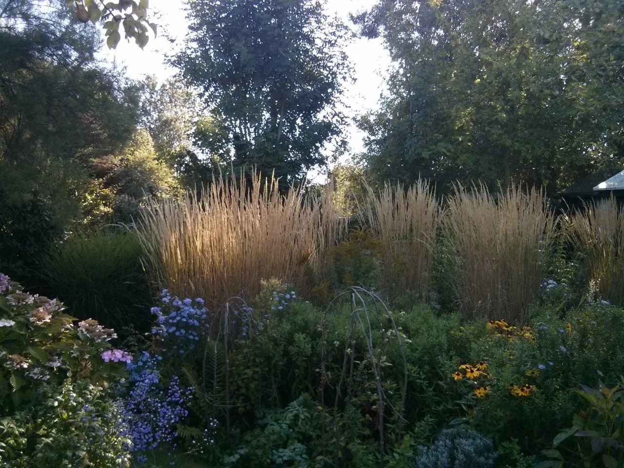 It has been a perfect late summer day here so plenty of things done. I have been away for a week and a half with various exhibition openings and teaching. Back in the studio on Friday but difficult to find a way back into the work, so a slow start. I will attempt to blog some progress this week…