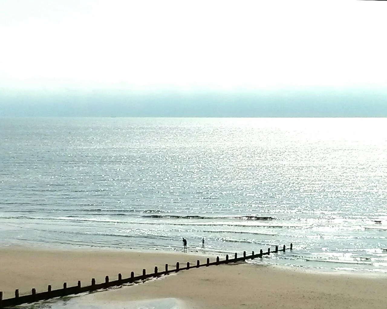 A sparkling early morning on the Essex coast. Making a few drawings from the cliff tops. I spent yesterday making 4 big charcoal drawings looking at ways forward now that most of the paintings for my University of Essex residency are nearing completion. The residency exhibition will be in September and October.