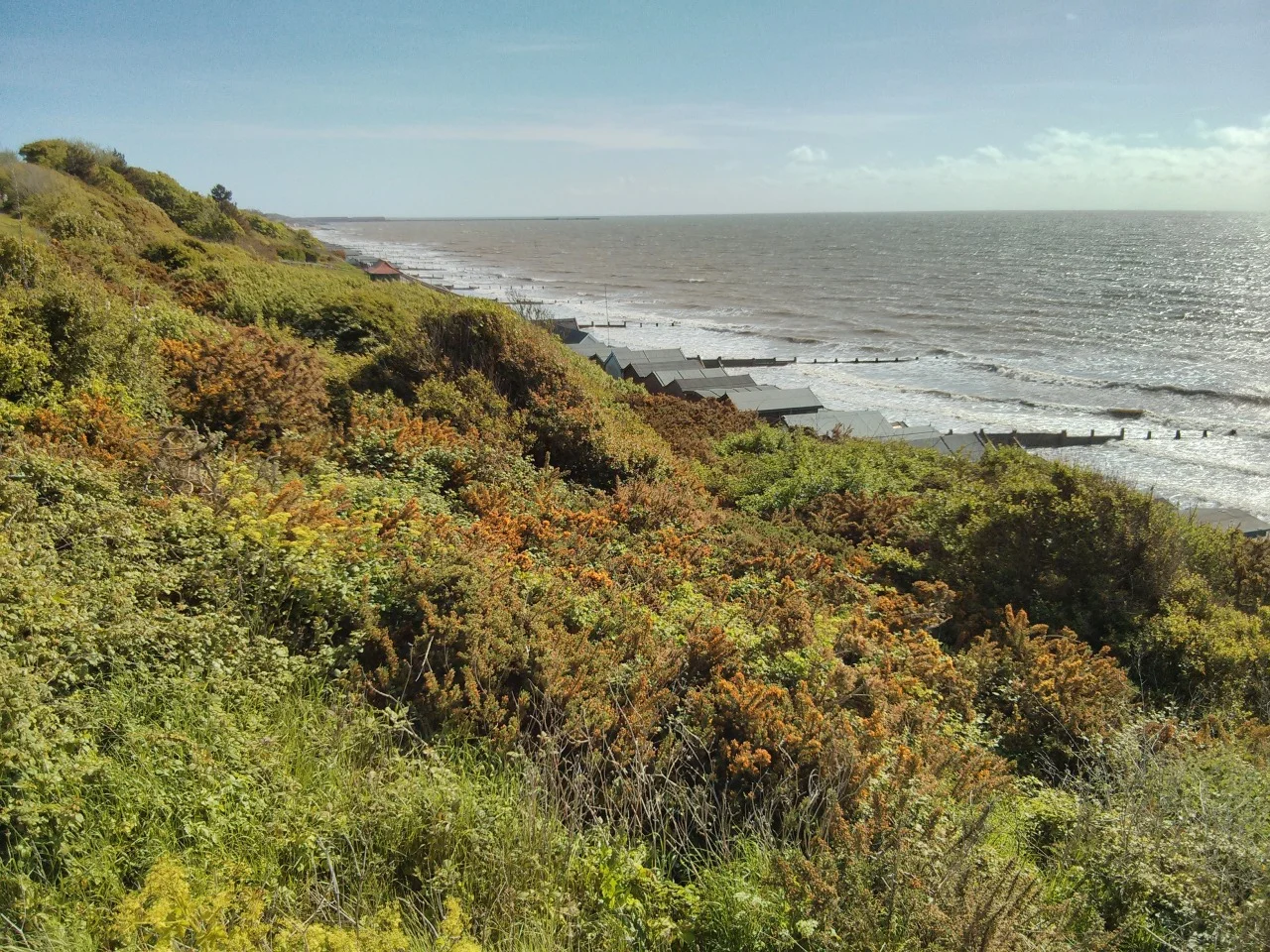 This is where I am currently drawing. The photo flattens out the space whereas in drawing you feel connected to, and a participant in, the space; like the experience of being there. I started making drawings here in about 2010 and exhibited a painting in 2011, but I still don’t feel I really understand what it is I’m doing with this particular site. We are still in conversation…