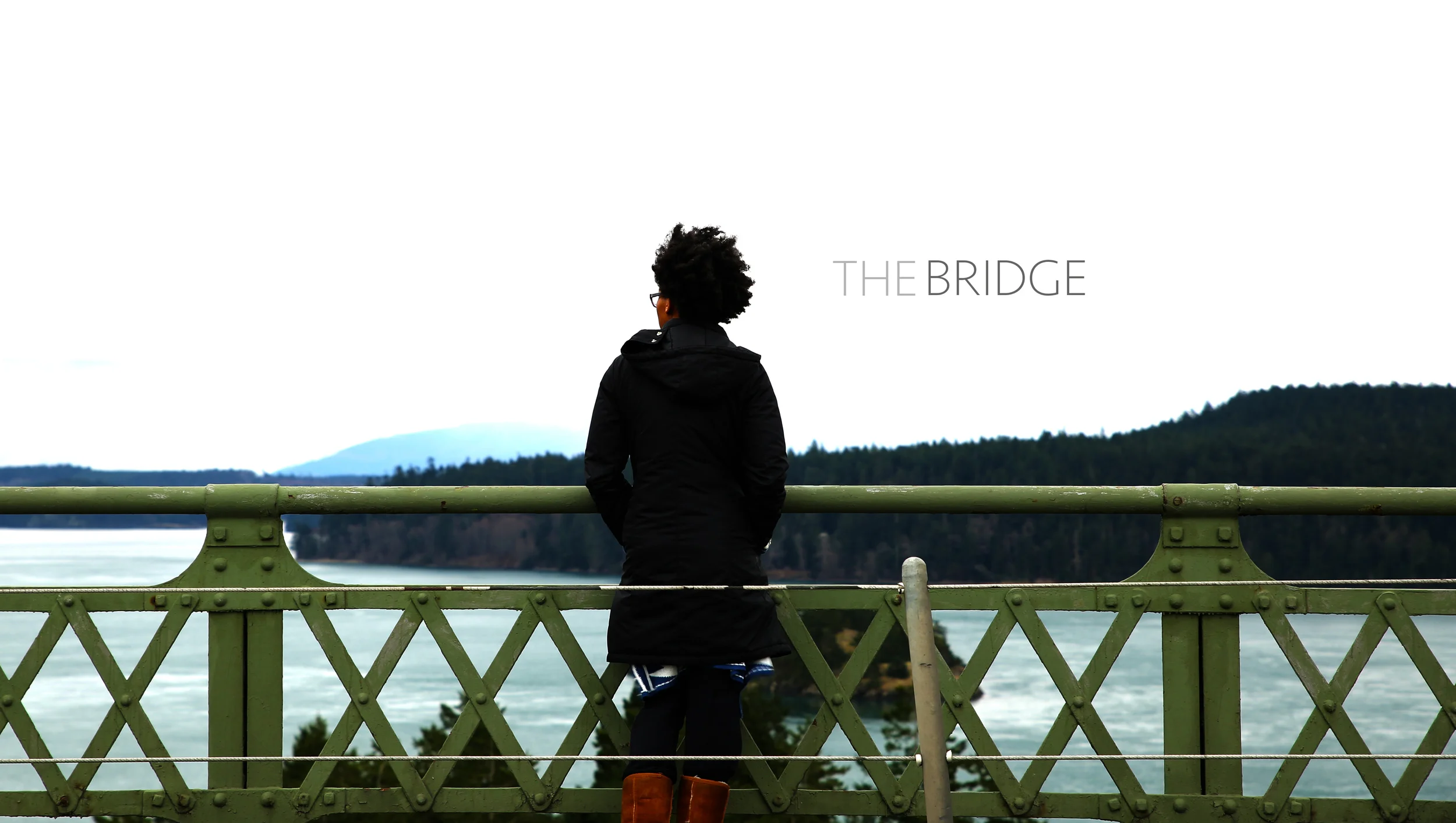 thebridge-still-photo-2.jpg