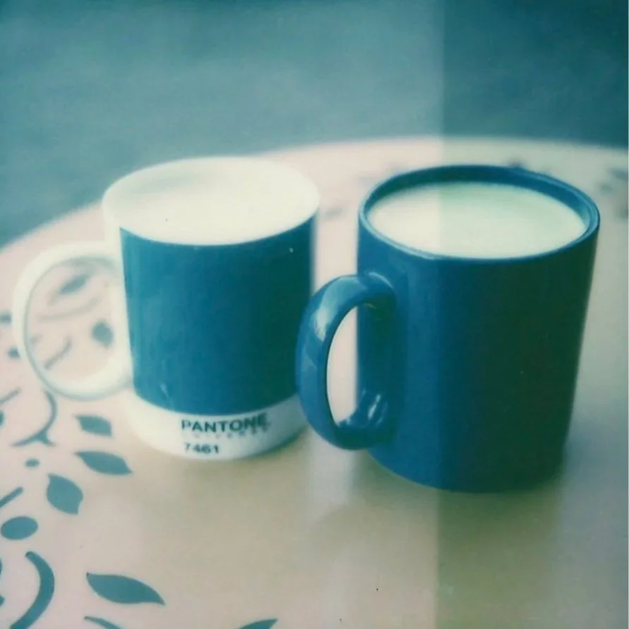 The Hidden Cafe, Berkeley