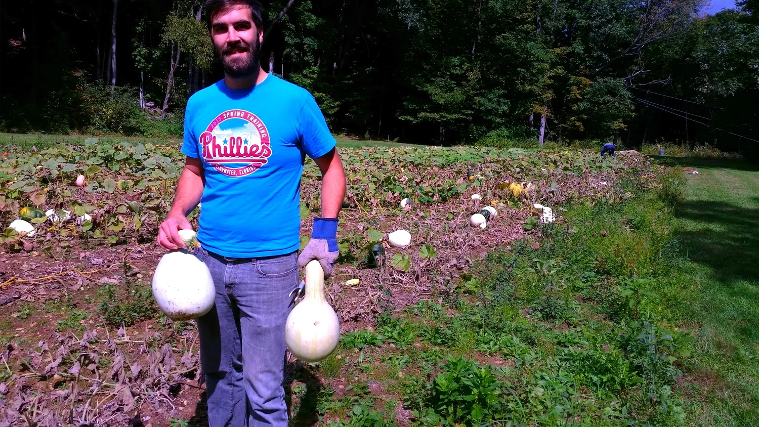 Christophe Harvesting