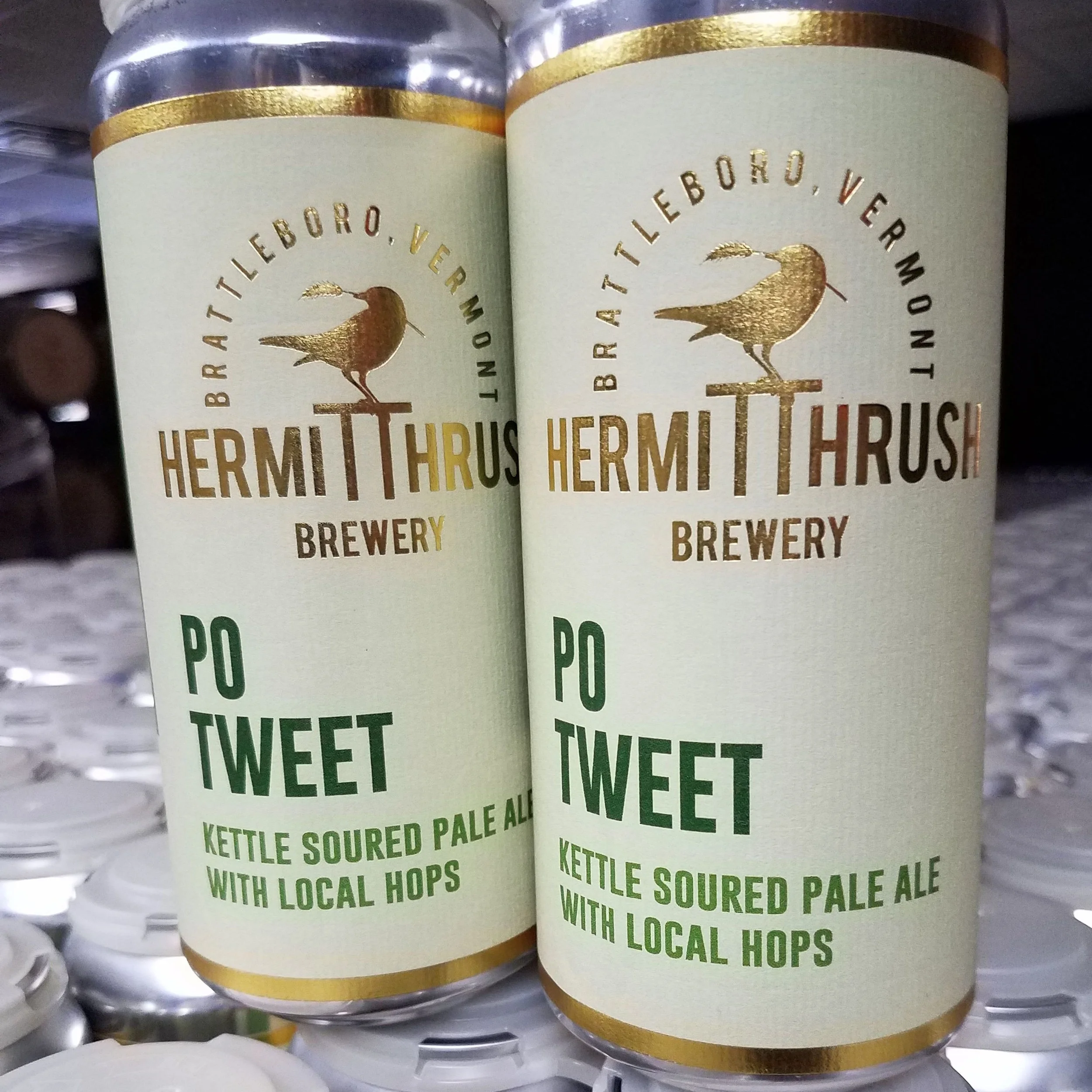 hermit-thrush-po-tweet.jpg
