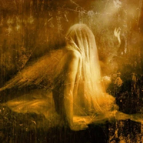 Beyond The Veil A Umayyad Womans World - u4svvyp