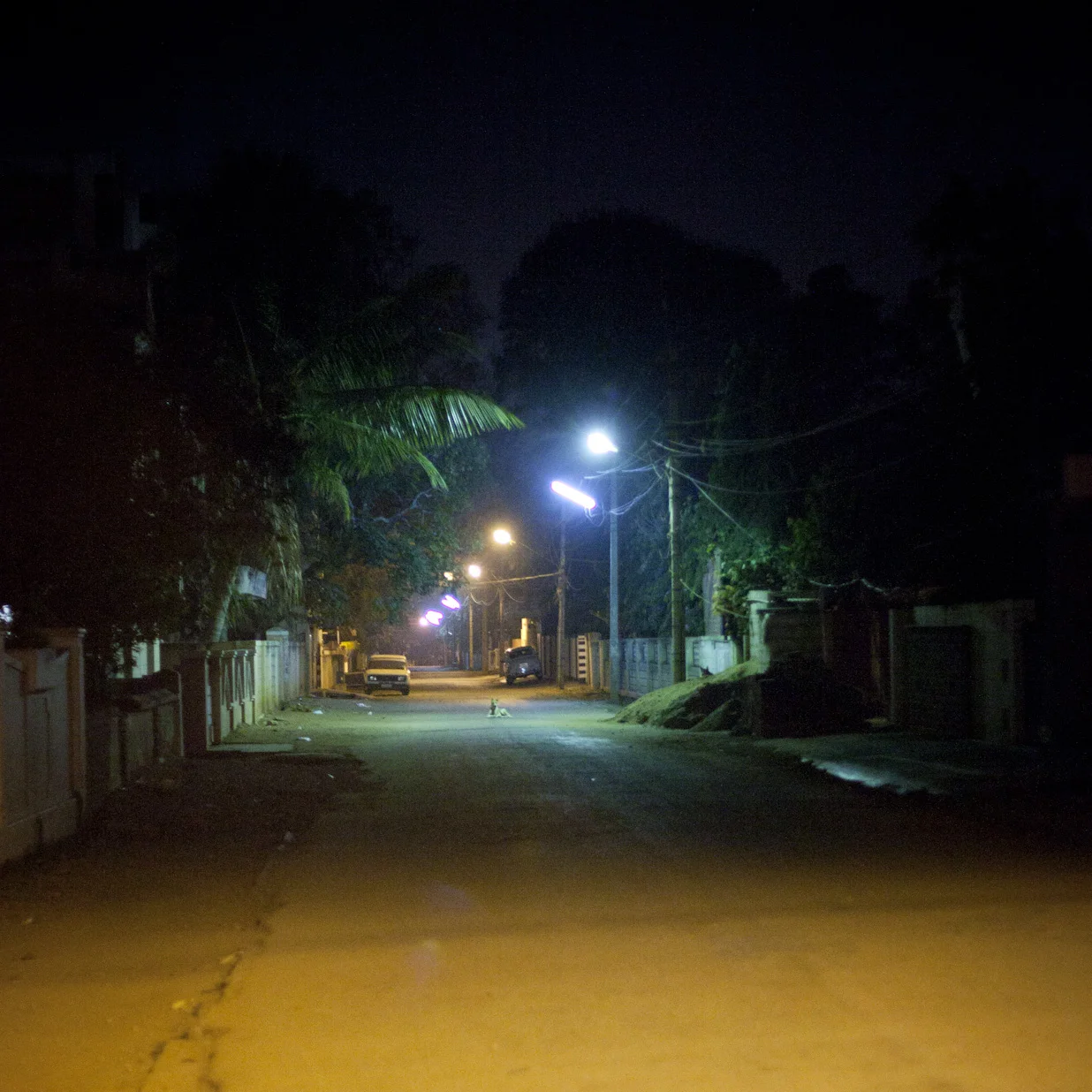 Mysore Nights 7729