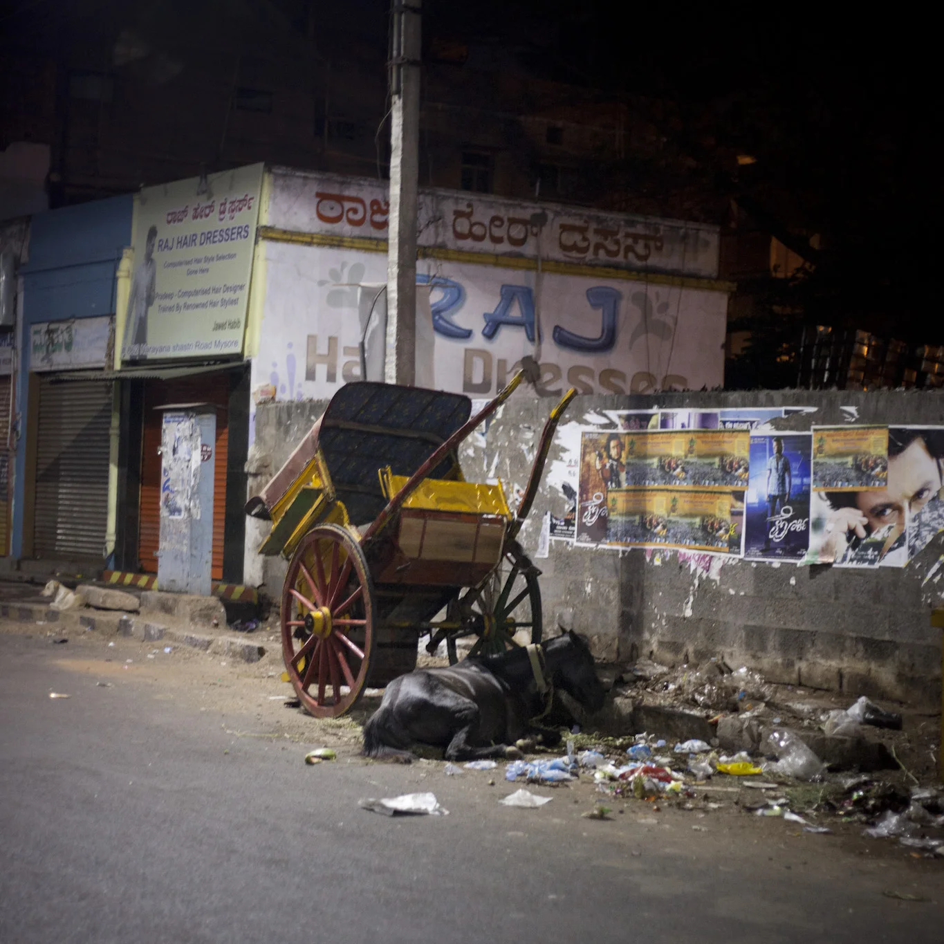 Mysore Nights 7741