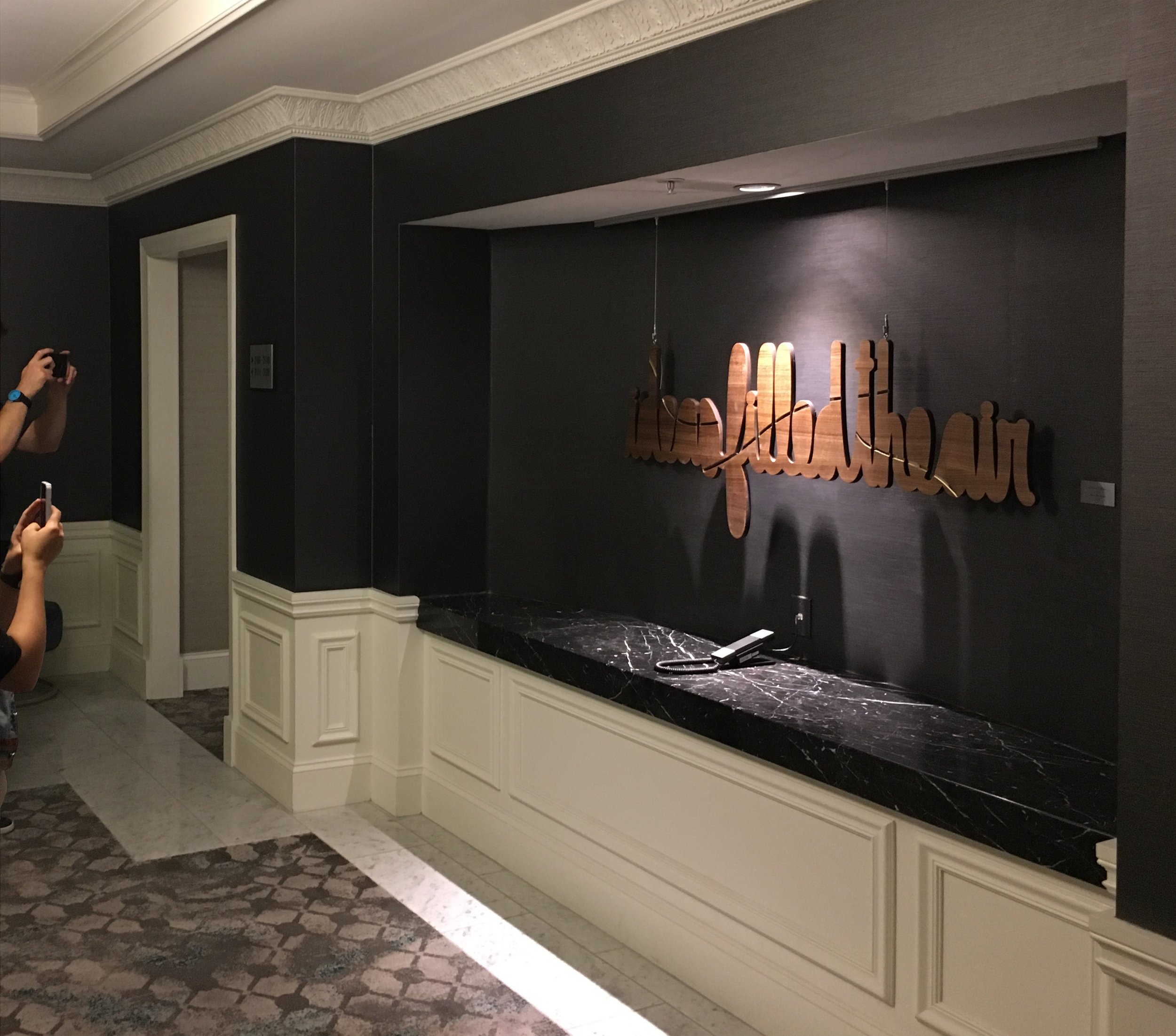 matthew hoffman hotel installation ideas.JPG