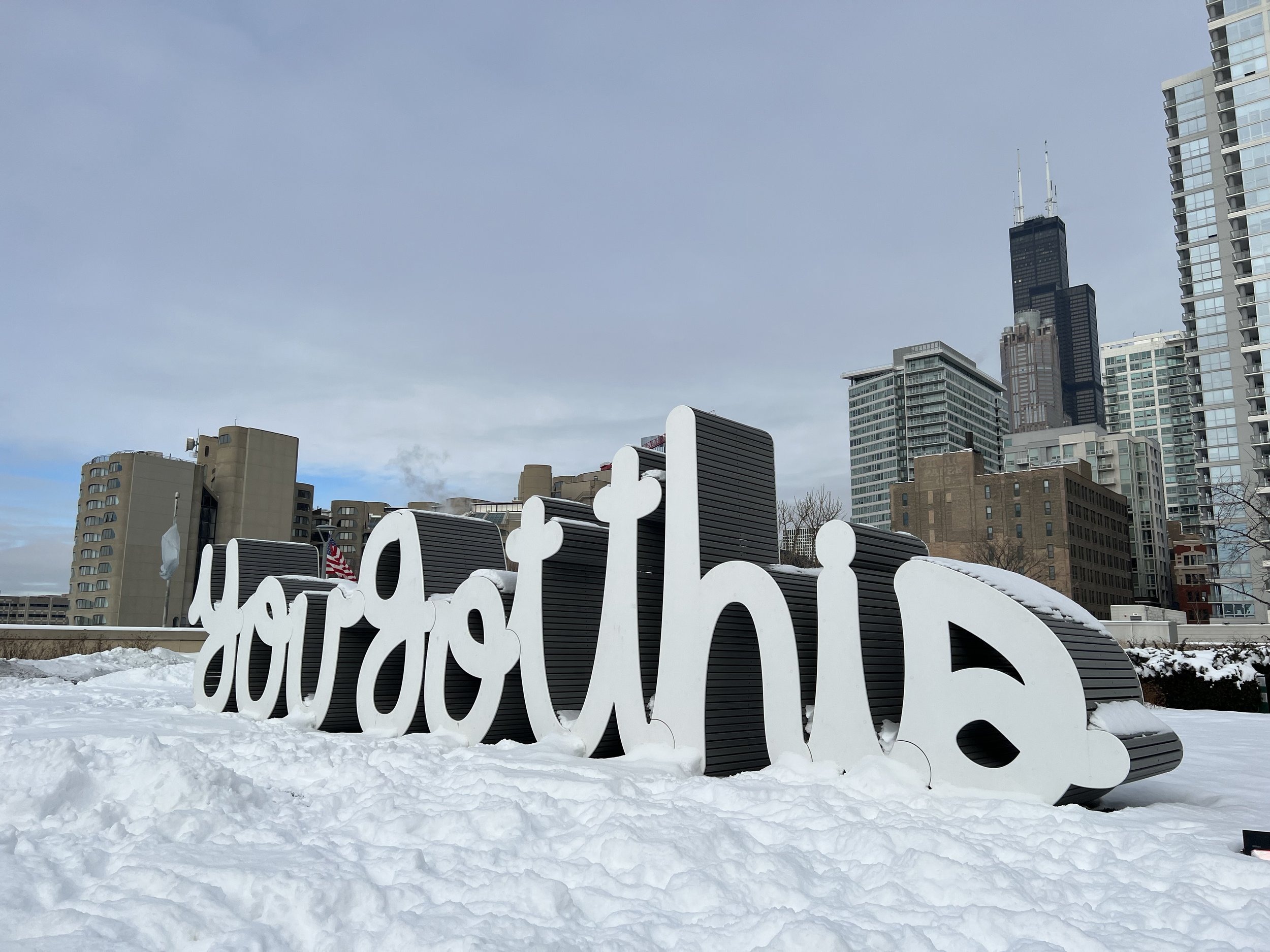 matthew hoffman public art yougotthissnow.jpg