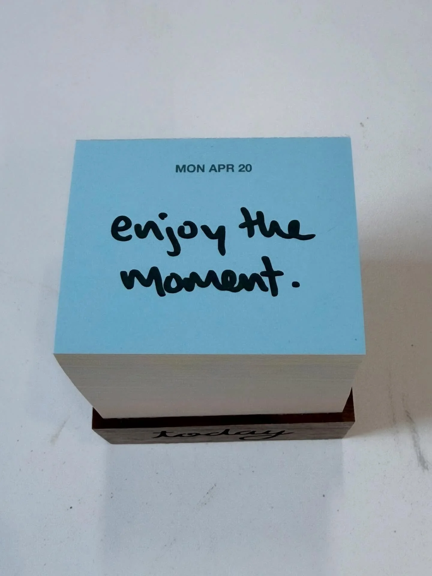 enjoy the
moment.