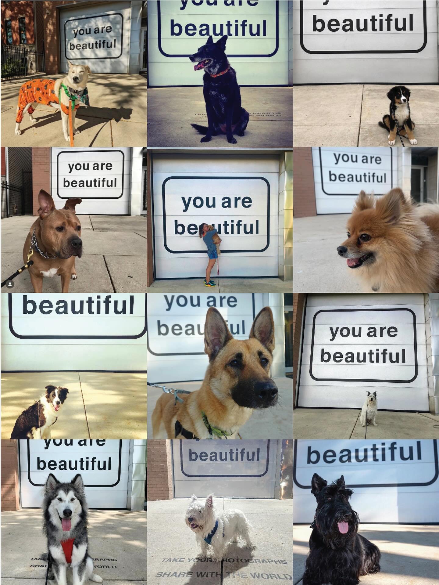You are ruffiful.

This piece sits on a garage door facing Smith Park in Chicago. We added a simple line on the ground: take your photographs, share with the world.

Now it&rsquo;s part of a daily rhythm. Dog walkers stop by, friends bring each other