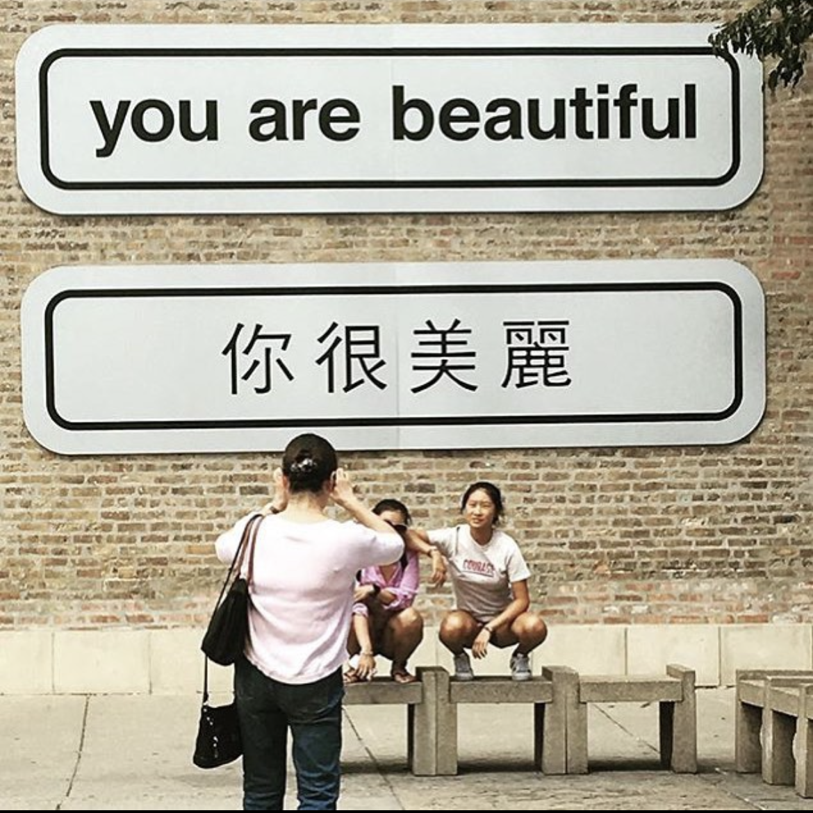 Close view of Matthew Hoffman’s English and Mandarin You Are Beautiful panels in Chinatown, Chicago.
