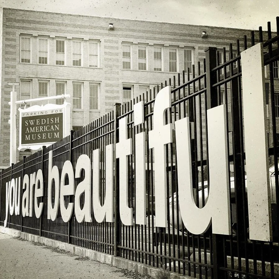 you are beautiful fence piece in andersonville chicago