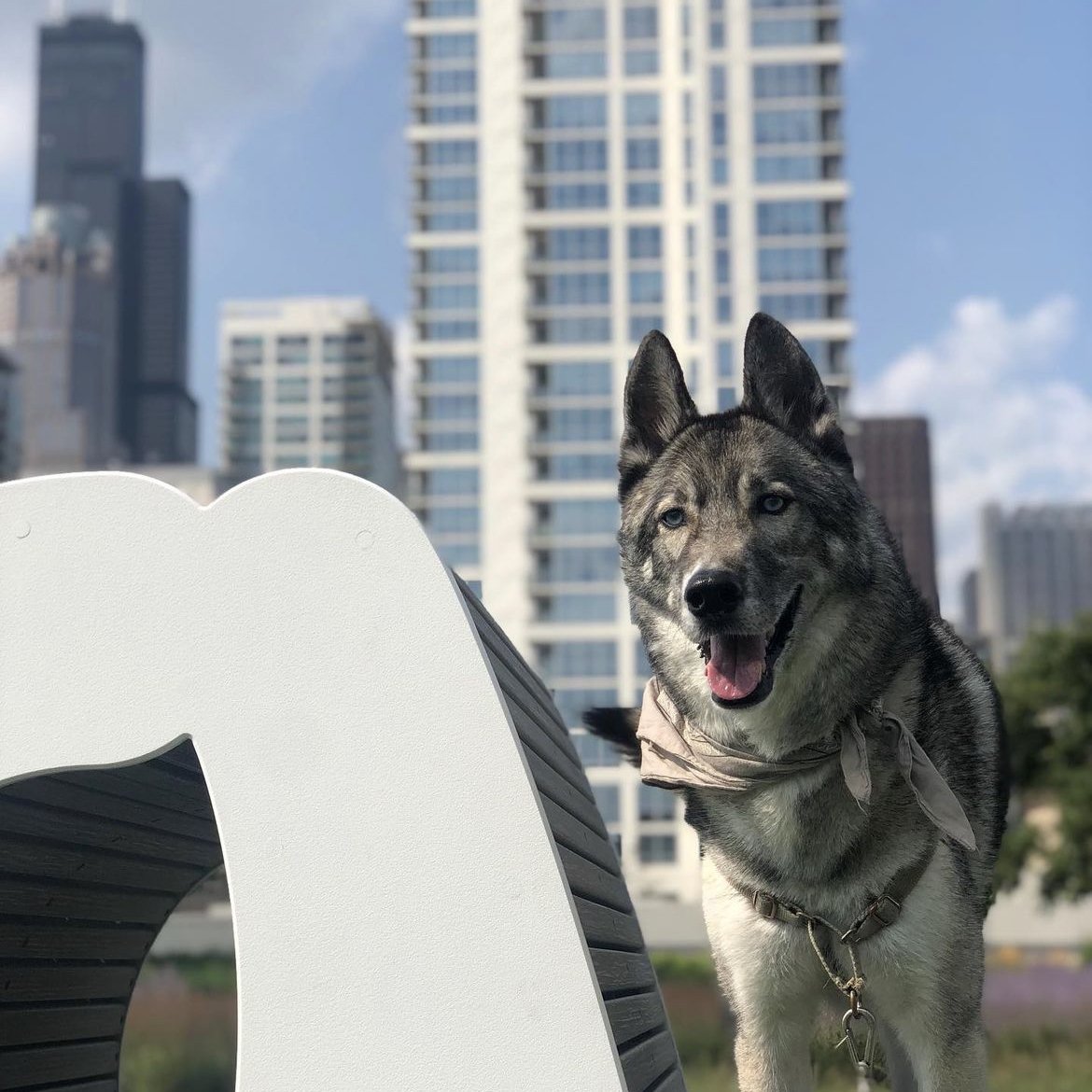 Large-scale “You Got This” public art sculpture by Matthew Hoffman installed in downtown Chicago with surrounding urban architecture and skyline views.