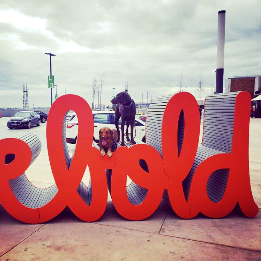 Community members interacting with Matthew Hoffman’s “be bold” sculpture, an uplifting example of placemaking and the power of public art.